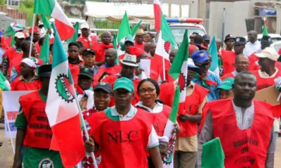 NLC