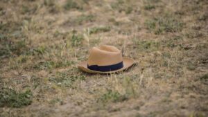 Raymond Reddington Hat