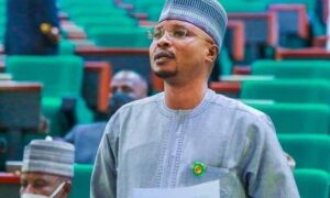 Leke Abejide, Reps