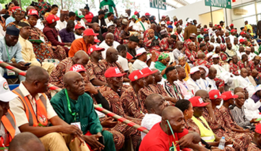PDP Convention