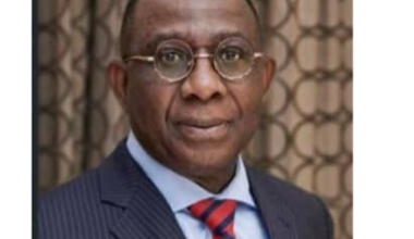 Prof. Banji Oyelaran-Oyeyinka