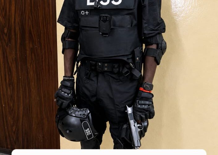 DSS