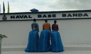 Navy