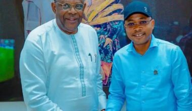 James Faleke, Ahmed Usman Ododo